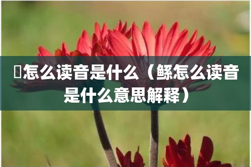 弢怎么读音是什么（鲧怎么读音是什么意思解释）