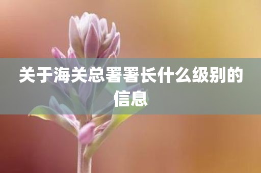 关于海关总署署长什么级别的信息