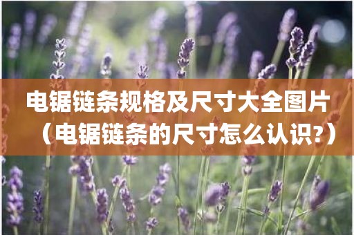 电锯链条规格及尺寸大全图片(电锯链条的尺寸怎么认识?)