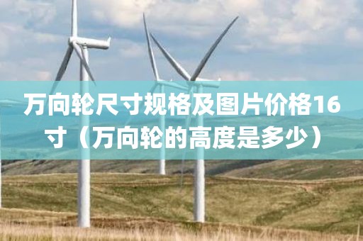万向轮尺寸规格及图片价格16寸（万向轮的高度是多少）