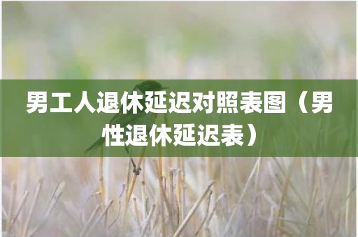 男工人退休延迟对照表图（男性退休延迟表）