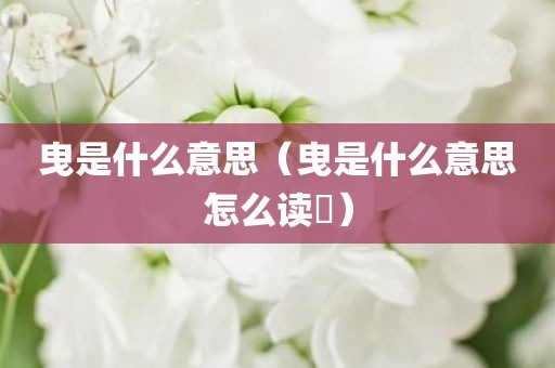 曳是什么意思（曳是什么意思怎么读乸）