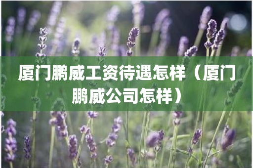 厦门鹏威工资待遇怎样（厦门鹏威公司怎样）