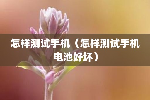 怎样测试手机（怎样测试手机电池好坏）