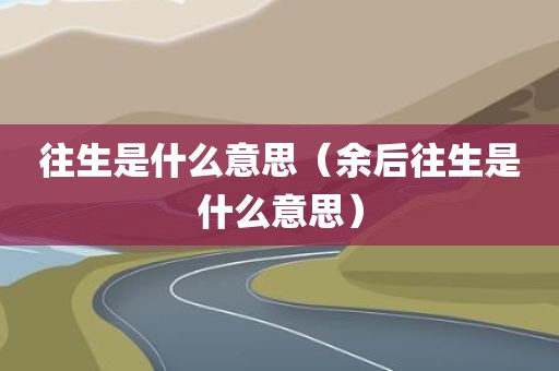 往生是什么意思（余后往生是什么意思）