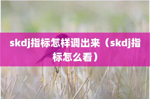 skdj指标怎样调出来(skdj指标怎么看) skdj指标怎样调出来(skdj指标怎么看)