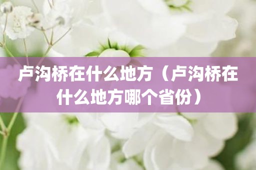 卢沟桥在什么地方（卢沟桥在什么地方哪个省份）