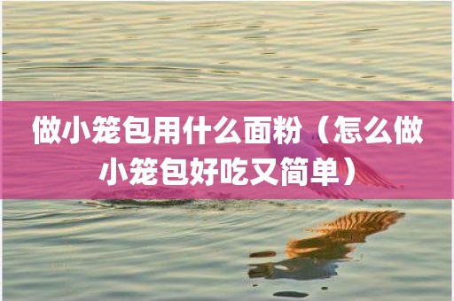 做小笼包用什么面粉（怎么做小笼包好吃又简单）