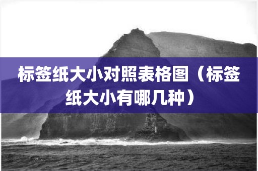标签纸大小对照表格图（标签纸大小有哪几种）