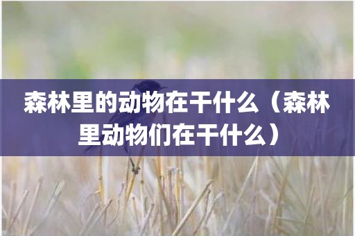 森林里的动物在干什么(森林里动物们在干什么)