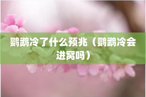 鹦鹉冷了什么预兆（鹦鹉冷会进窝吗）