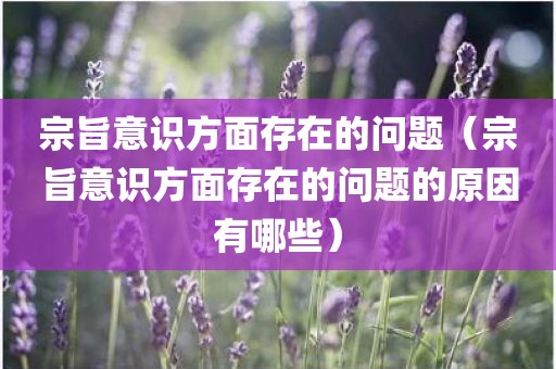 宗旨意识方面存在的问题（宗旨意识方面存在的问题的原因有哪些）