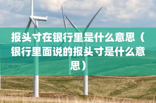 报头寸在银行里是什么意思（银行里面说的报头寸是什么意思）