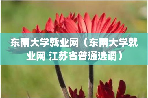 东南大学就业网（东南大学就业网 江苏省普通选调）