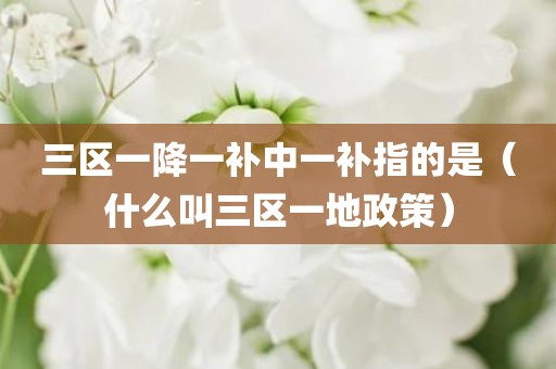 三区一降一补中一补指的是（什么叫三区一地政策）