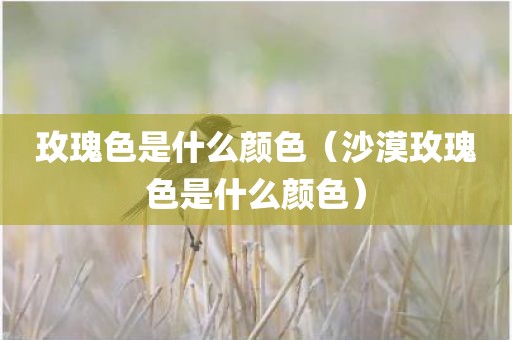 玫瑰色是什么颜色（沙漠玫瑰色是什么颜色）
