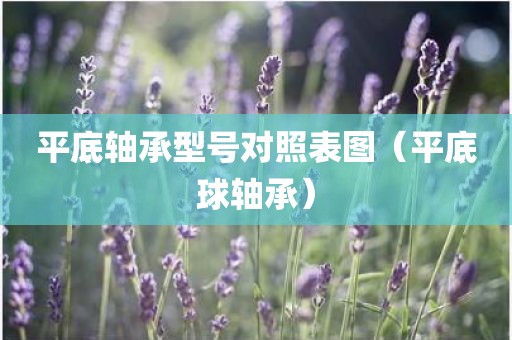 平底轴承型号对照表图（平底球轴承）