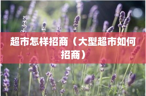 超市怎样招商（大型超市如何招商）