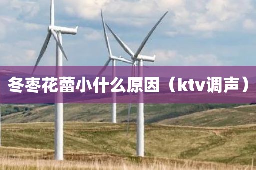 冬枣花蕾小什么原因（ktv调声）