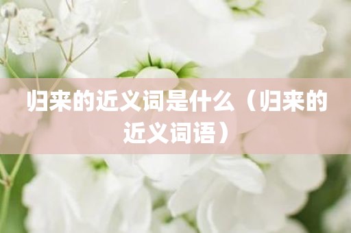 归来的近义词是什么（归来的近义词语）
