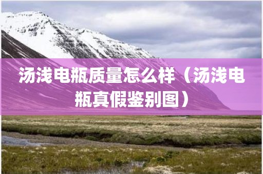 汤浅电瓶质量怎么样（汤浅电瓶真假鉴别图）