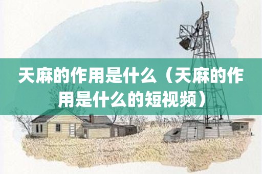 天麻的作用是什么（天麻的作用是什么的短视频）