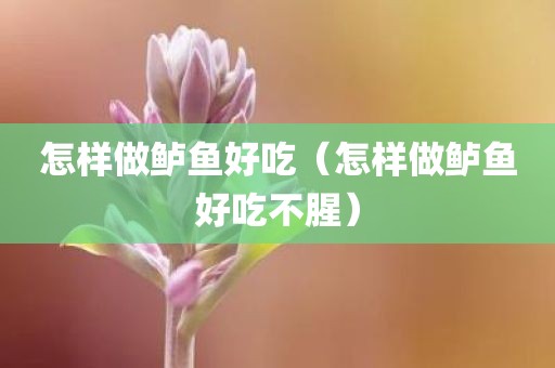 怎样做鲈鱼好吃（怎样做鲈鱼好吃不腥）