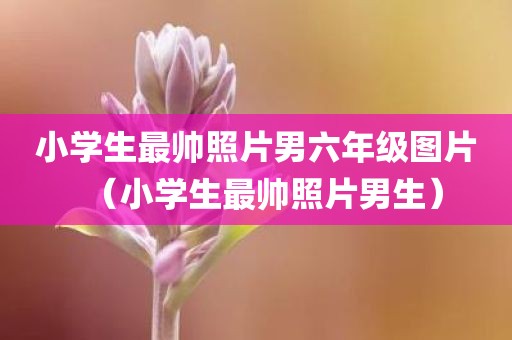 小学生最帅照片男六年级图片（小学生最帅照片男生）