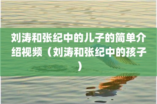 刘涛和张纪中的儿子的简单介绍视频（刘涛和张纪中的孩子）
