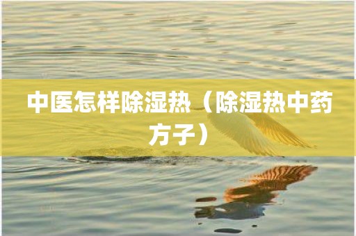 中医怎样除湿热（除湿热中药方子）