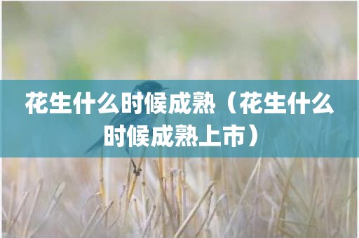 花生什么时候成熟（花生什么时候成熟上市）