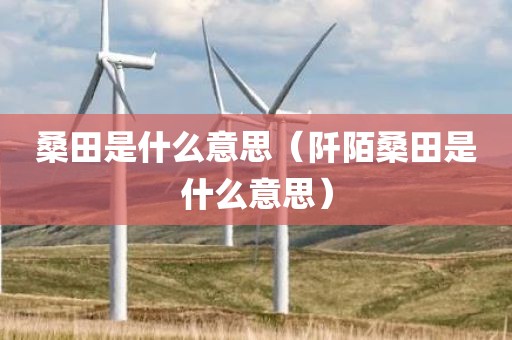 桑田是什么意思（阡陌桑田是什么意思）
