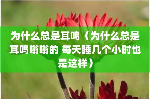 为什么总是耳鸣（为什么总是耳鸣嗡嗡的 每天睡几个小时也是这样）