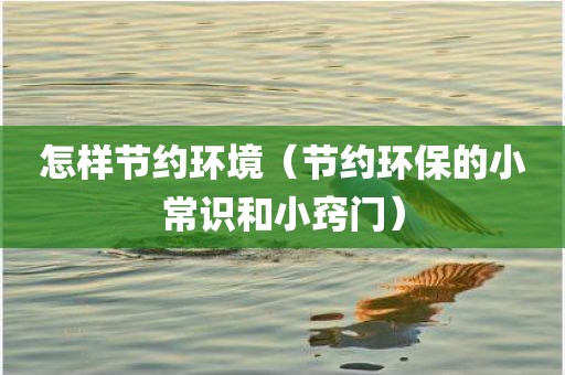 怎样节约环境（节约环保的小常识和小窍门）