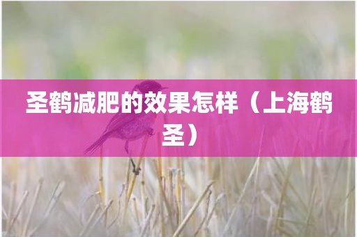 圣鹤减肥的效果怎样（上海鹤圣）