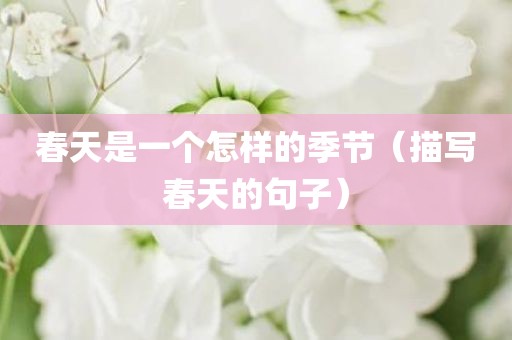 春天是一个怎样的季节（描写春天的句子）