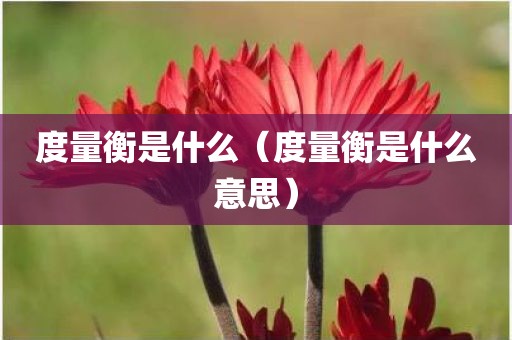 度量衡是什么（度量衡是什么意思）