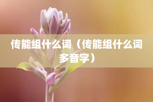 传能组什么词（传能组什么词多音字）