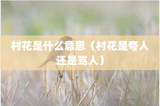 村花是什么意思（村花是夸人还是骂人）