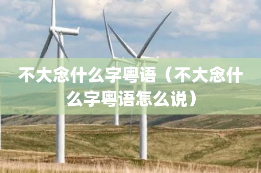 不大念什么字粤语（不大念什么字粤语怎么说）