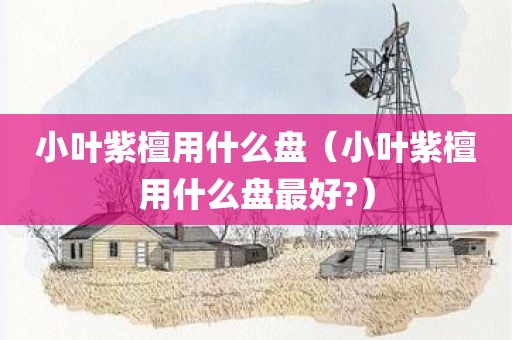 小叶紫檀用什么盘（小叶紫檀用什么盘最好?）