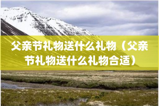 父亲节礼物送什么礼物(父亲节礼物送什么礼物合适)