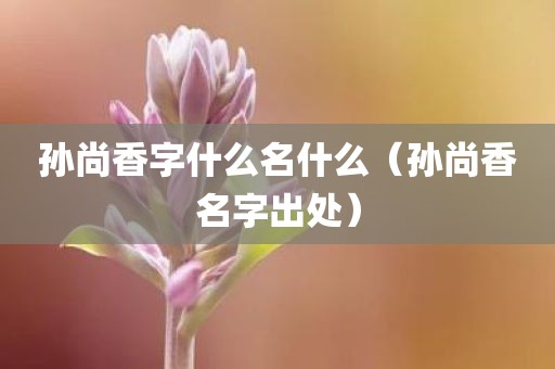 孙尚香字什么名什么（孙尚香名字出处）