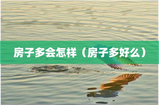 房子多会怎样（房子多好么）