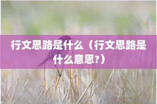 行文思路是什么（行文思路是什么意思?）
