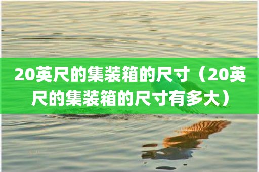 20英尺的集装箱的尺寸（20英尺的集装箱的尺寸有多大）