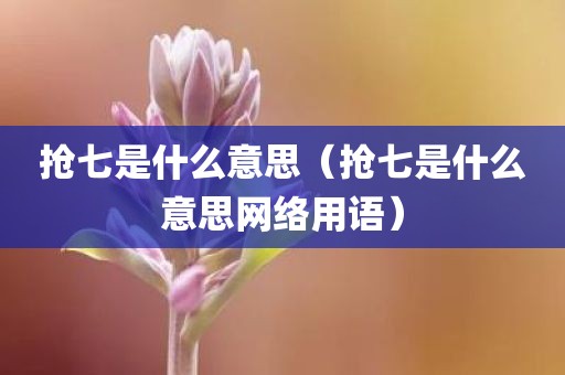 抢七是什么意思（抢七是什么意思网络用语）