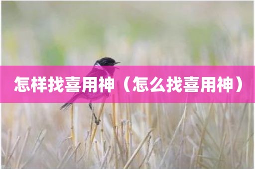 怎样找喜用神（怎么找喜用神）