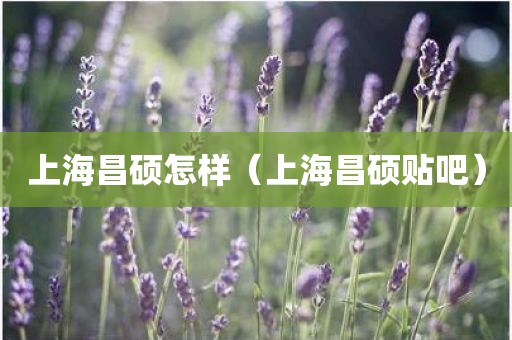 上海昌硕怎样（上海昌硕贴吧）