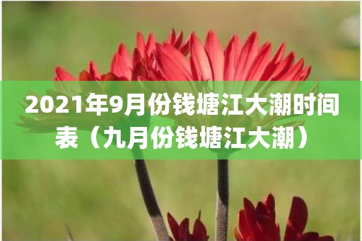 2021年9月份钱塘江大潮时间表（九月份钱塘江大潮）